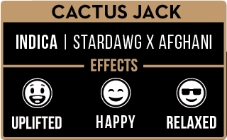 https://www.pixxl.la/_app/immutable/assets/Cactus%20Jack%20details.1b0d320f.png